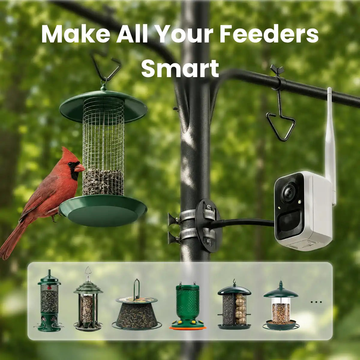 Birdfy Cam 2K - Smart Birdwatching Camera Traditional bird feeder companion