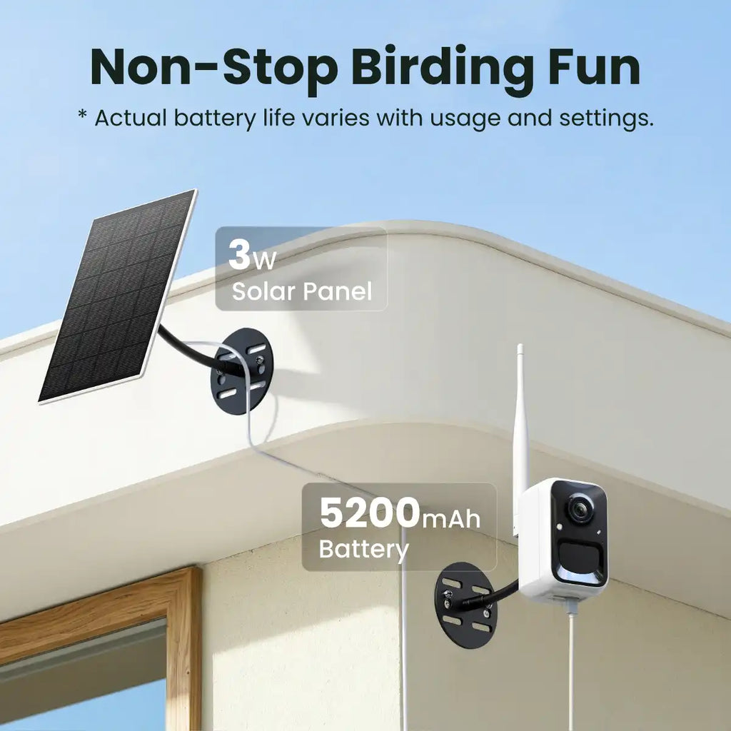 Birdfy Cam 2K - Smart Birdwatching Camera Traditional bird feeder companion