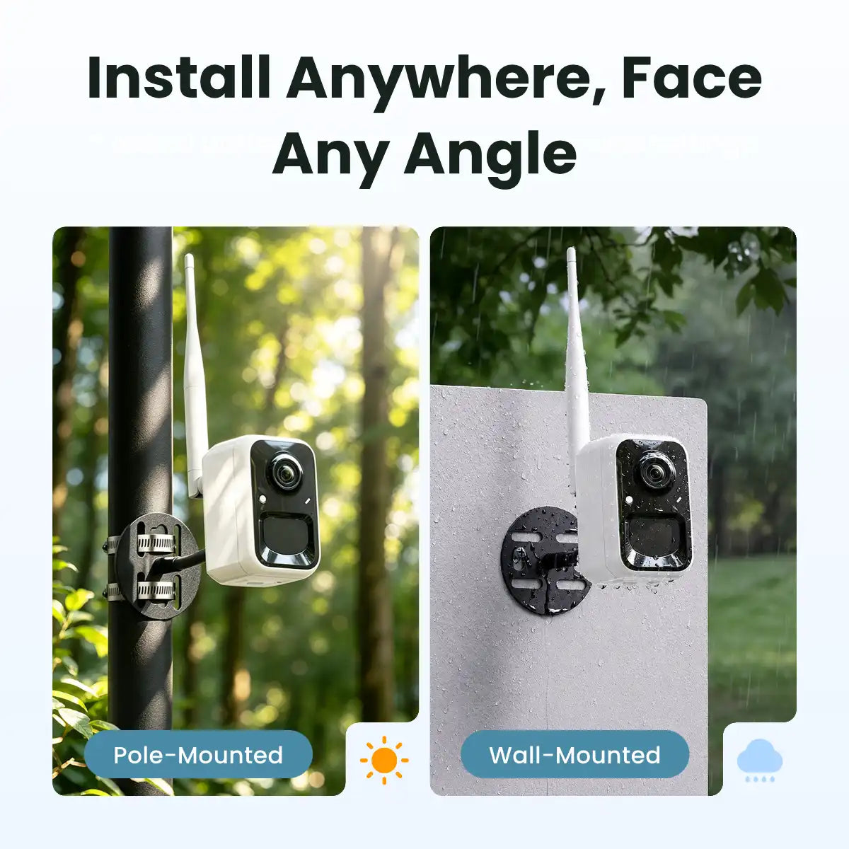 Birdfy Cam 2K - Smart Birdwatching Camera Traditional bird feeder companion