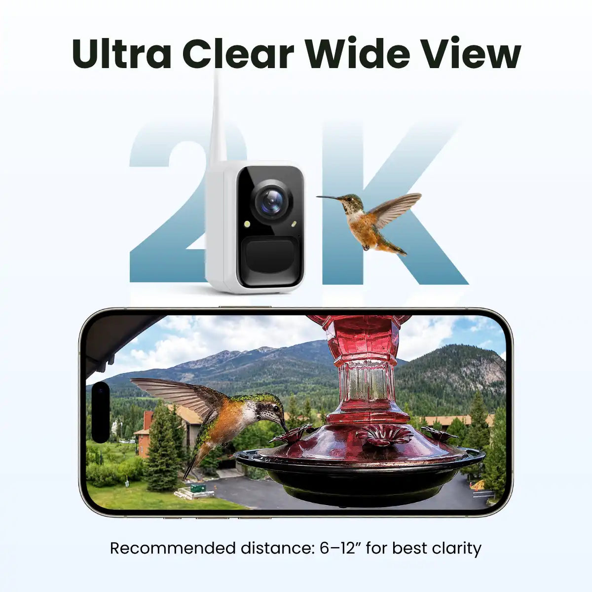 Birdfy Cam 2K - Smart Birdwatching Camera Traditional bird feeder companion