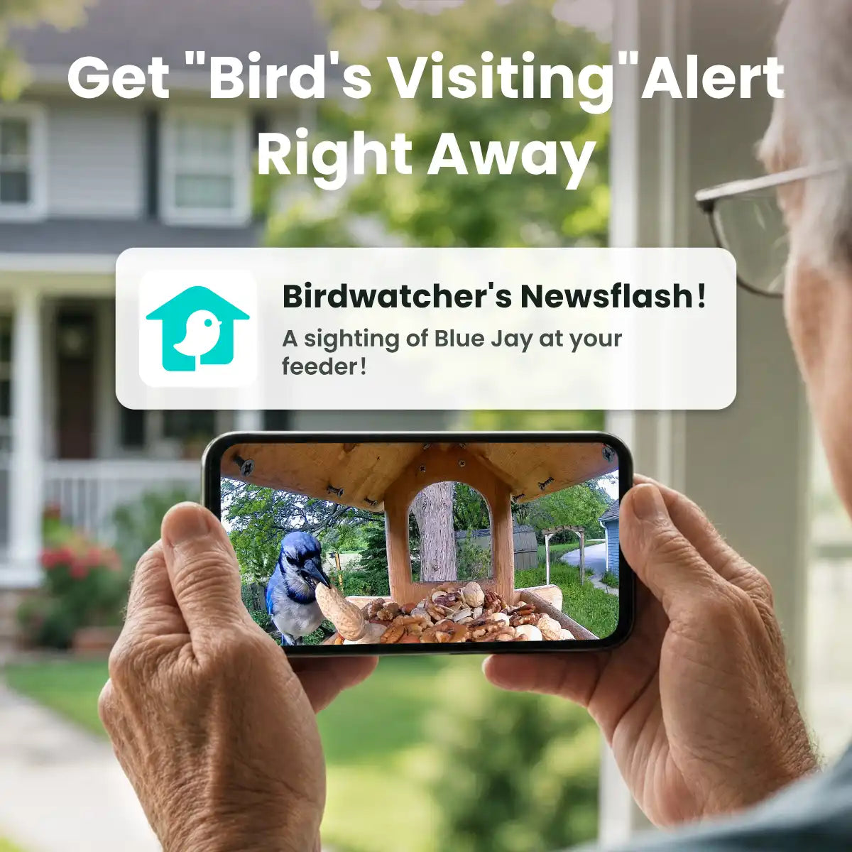 Birdfy Cam 2K - Smart Birdwatching Camera Traditional bird feeder companion