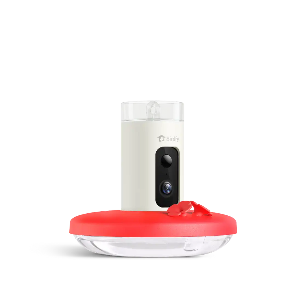 Birdfy Hum Feeder - Hummingbird Feeder with Camera