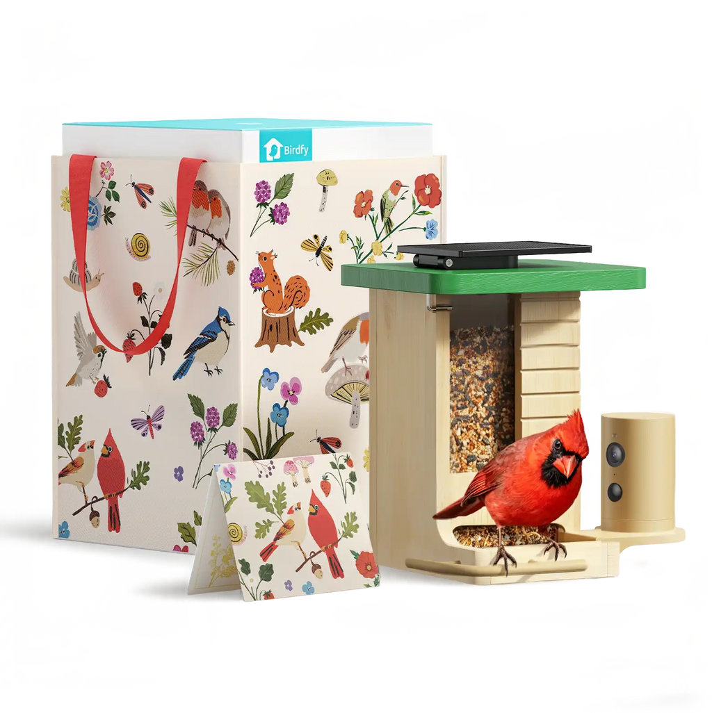 Birdfy Feeder Wood - Limited Gift Set | Smart Bird Feeder with Camera