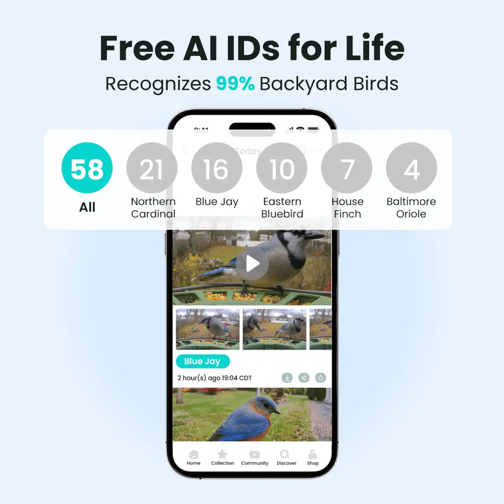Birdfy Feeder 2 Duo - Triple-Lens Smart Bird Feeder with Cameras