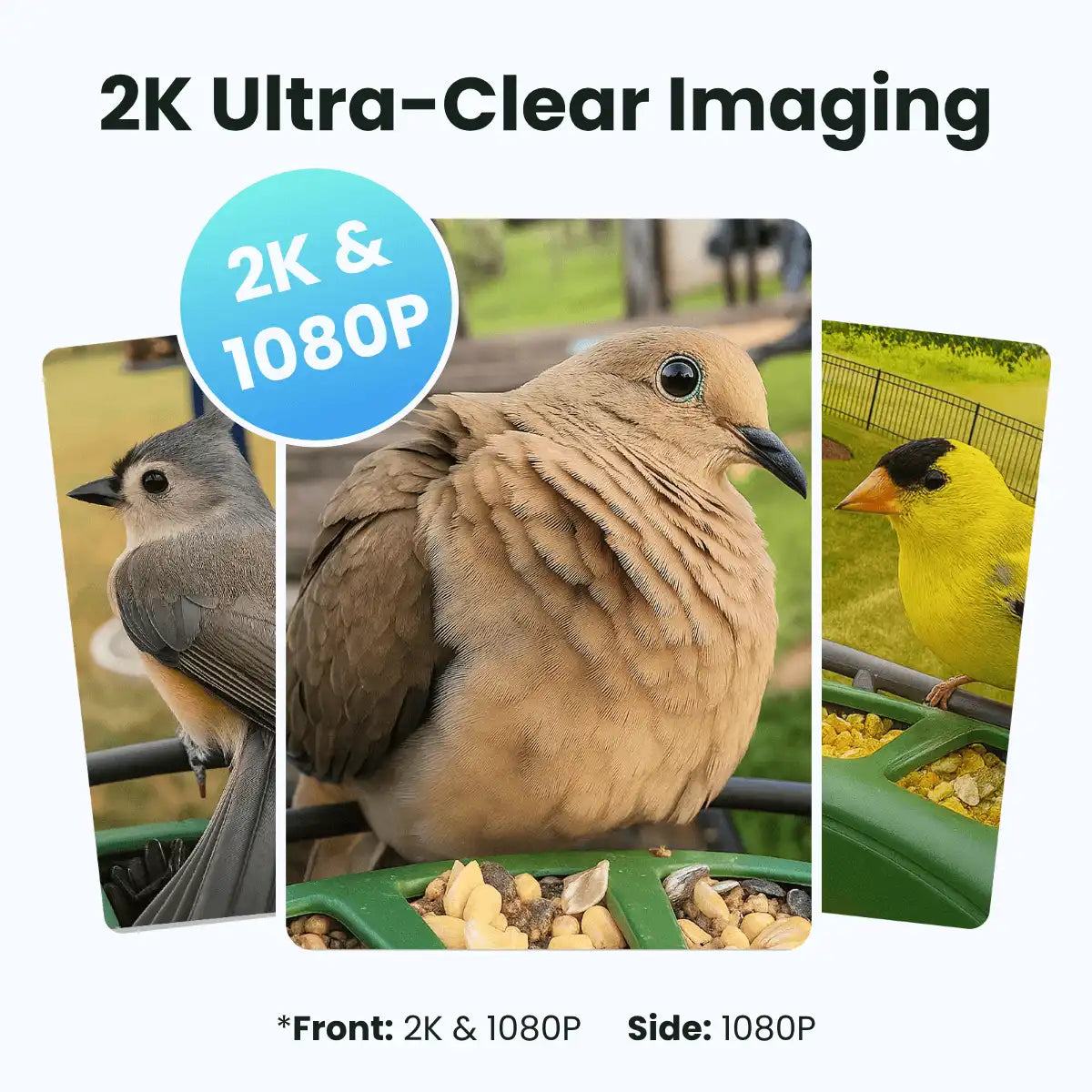 Birdfy Feeder 2 Duo - Triple-Lens Smart Bird Feeder with Cameras