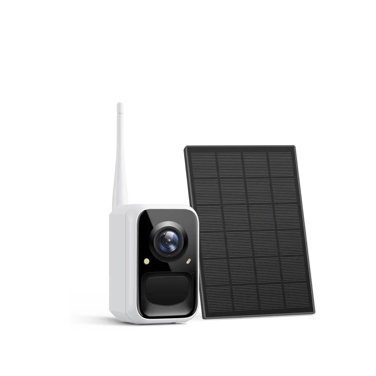 Birdfy Cam 2K - Smart Birdwatching Camera Traditional bird feeder companion
