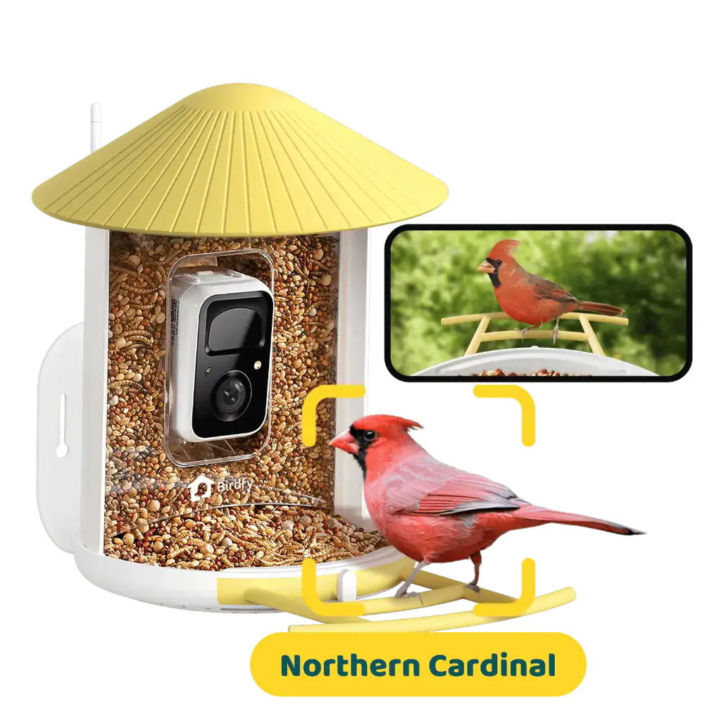 Birdfy Feeder - AI-Powered Smart Bird Feeder with Camera-Yellow
