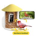 Birdfy Feeder - AI-Powered Smart Bird Feeder with Camera-Yellow
