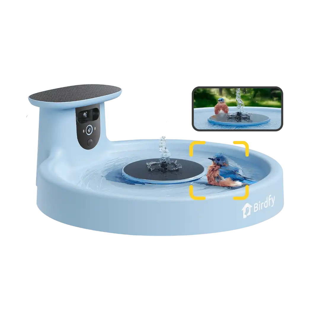 Birdfy Bath Pro White - Solar-Powered Smart Birdbath with Fountain without stand