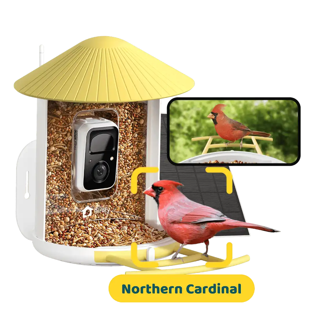 Birdfy Feeder - AI-Powered Smart Bird Feeder with Camera-Yellow