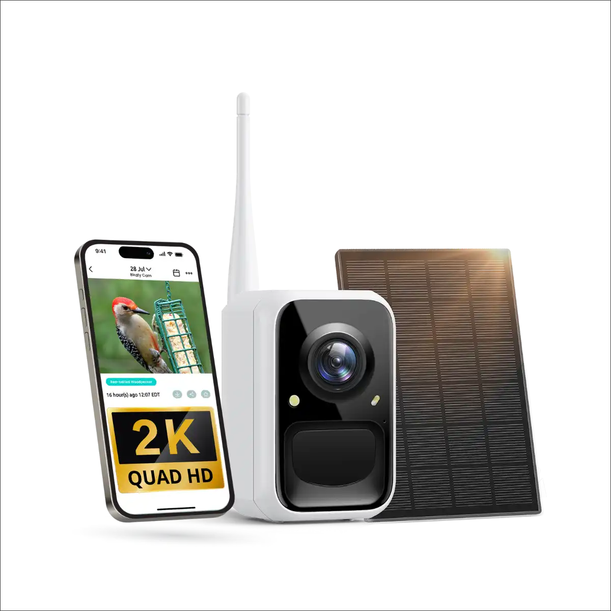 Birdfy Cam 2K - Smart Birdwatching Camera Traditional bird feeder companion