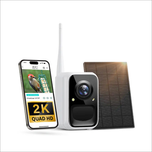 Birdfy Cam 2K - Smart Birdwatching Camera Traditional bird feeder companion