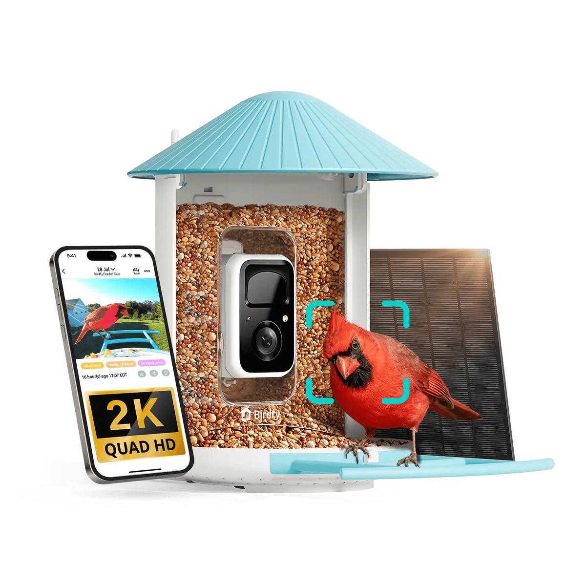 Birdfy Feeder - AI-Powered Smart Bird Feeder with Camera