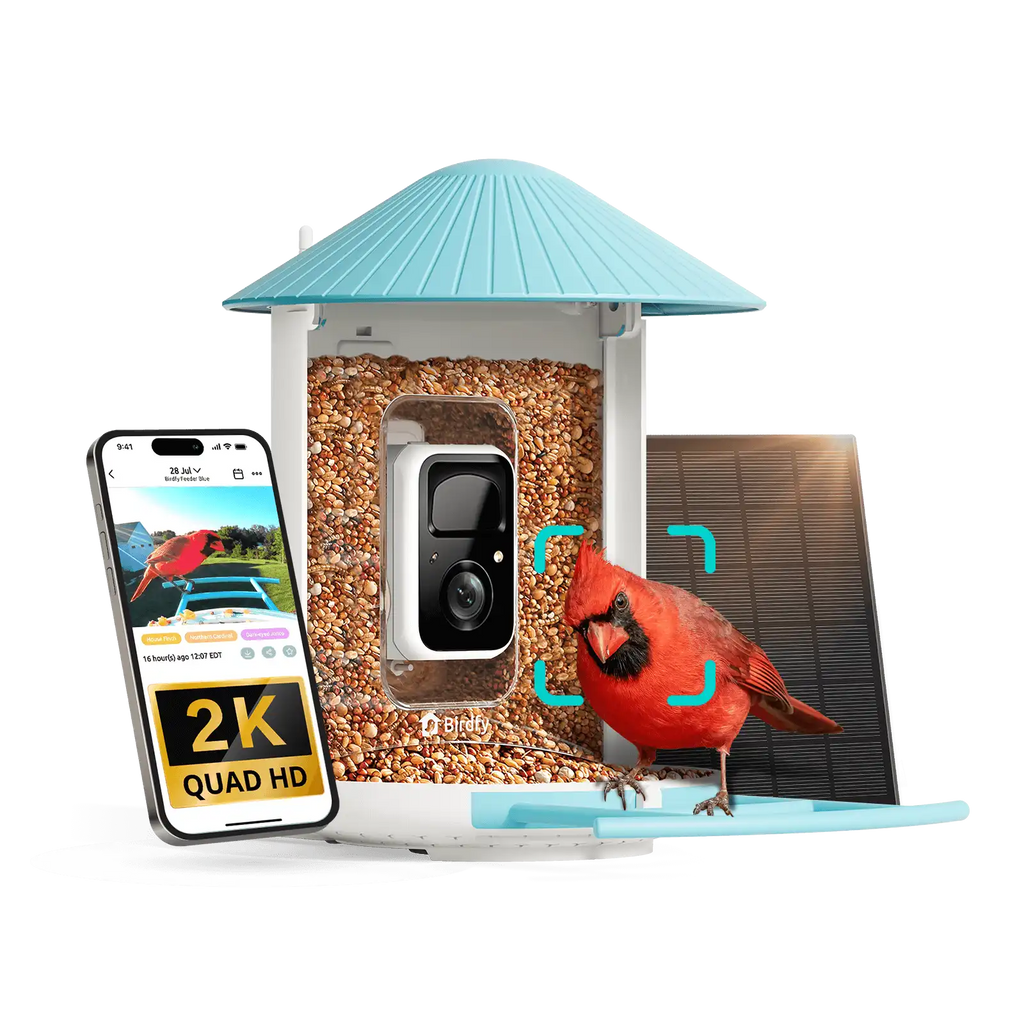 Birdfy Feeder - Smart Bird Feeder with Camera Standard Kit