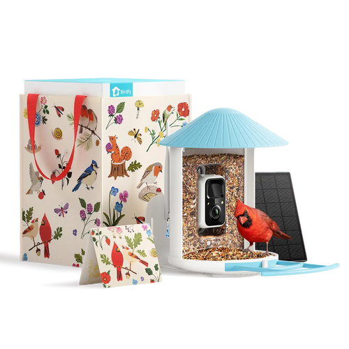 Birdfy Feeder - Limited Gift Set | Smart Bird Feeder with Camera