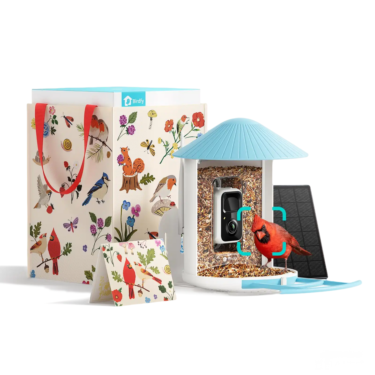 Birdfy Feeder - Limited Gift Set | Smart Bird Feeder with Camera