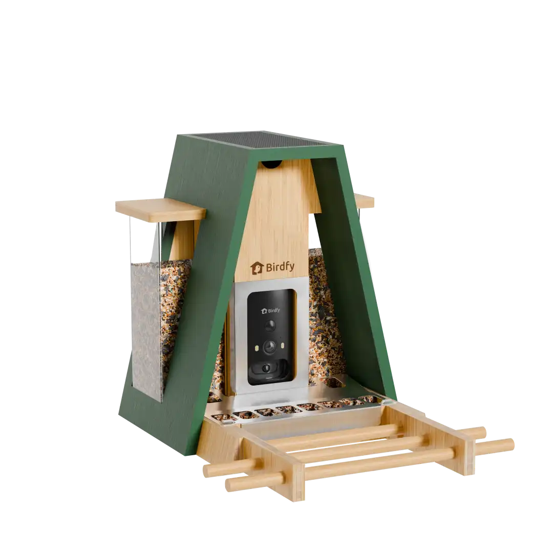 Birdfy Feeder Bamboo A Pro - Smart Metal Feeder with Camera