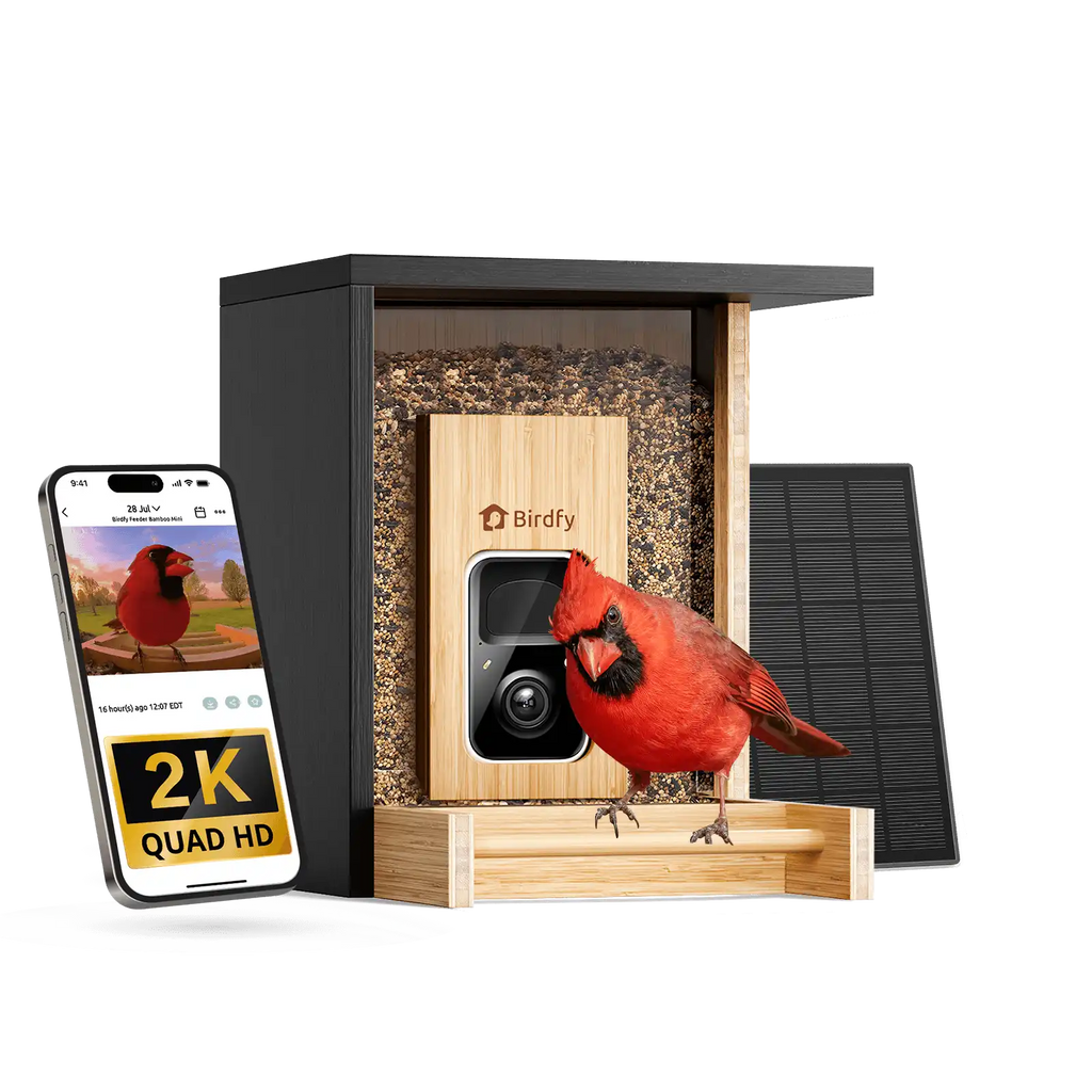 Birdfy Feeder Bamboo Mini - Bird Feeder With Camera
