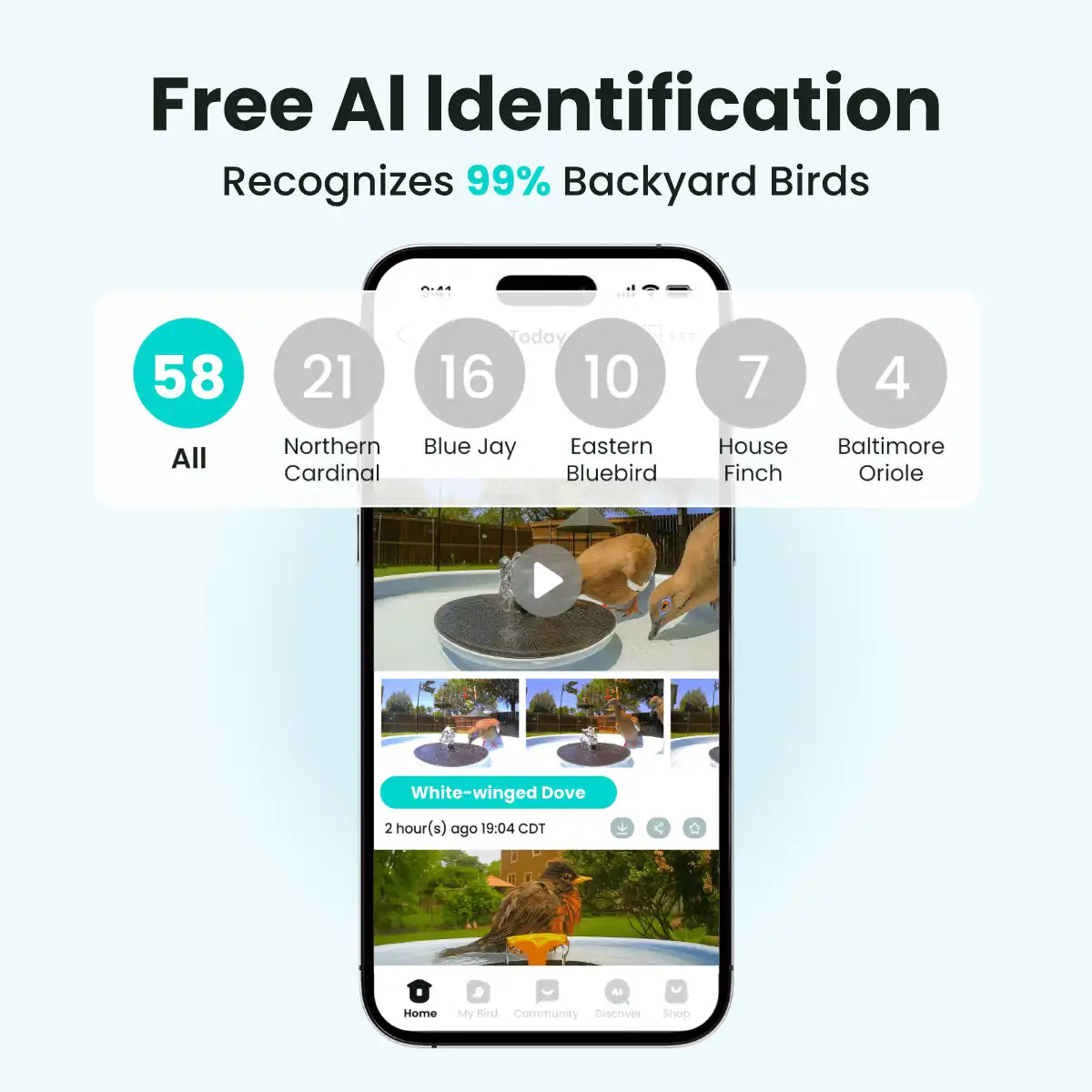 Birdfy Bath Pro - Solar-Powered Smart Birdbath with Fountain without stand
