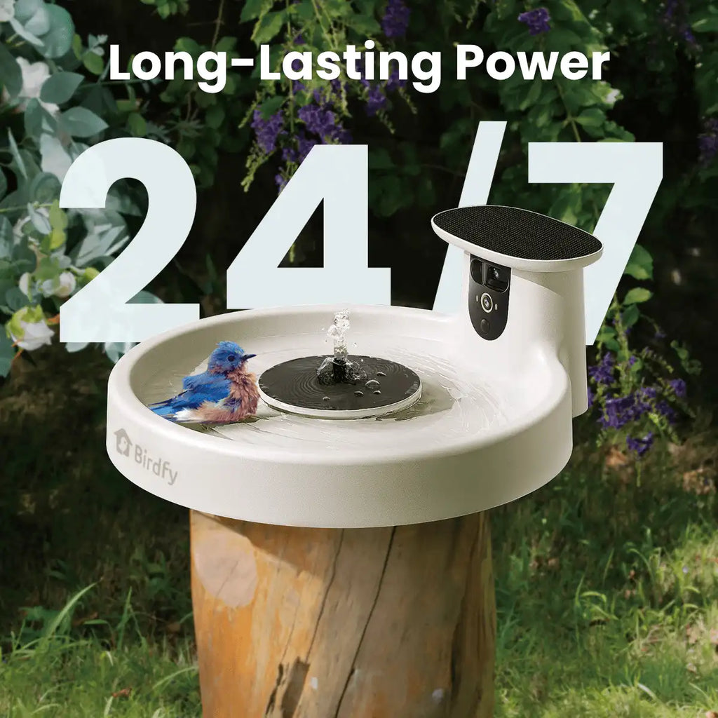 Birdfy Bath Pro - Solar-Powered Smart Birdbath with Fountain without stand