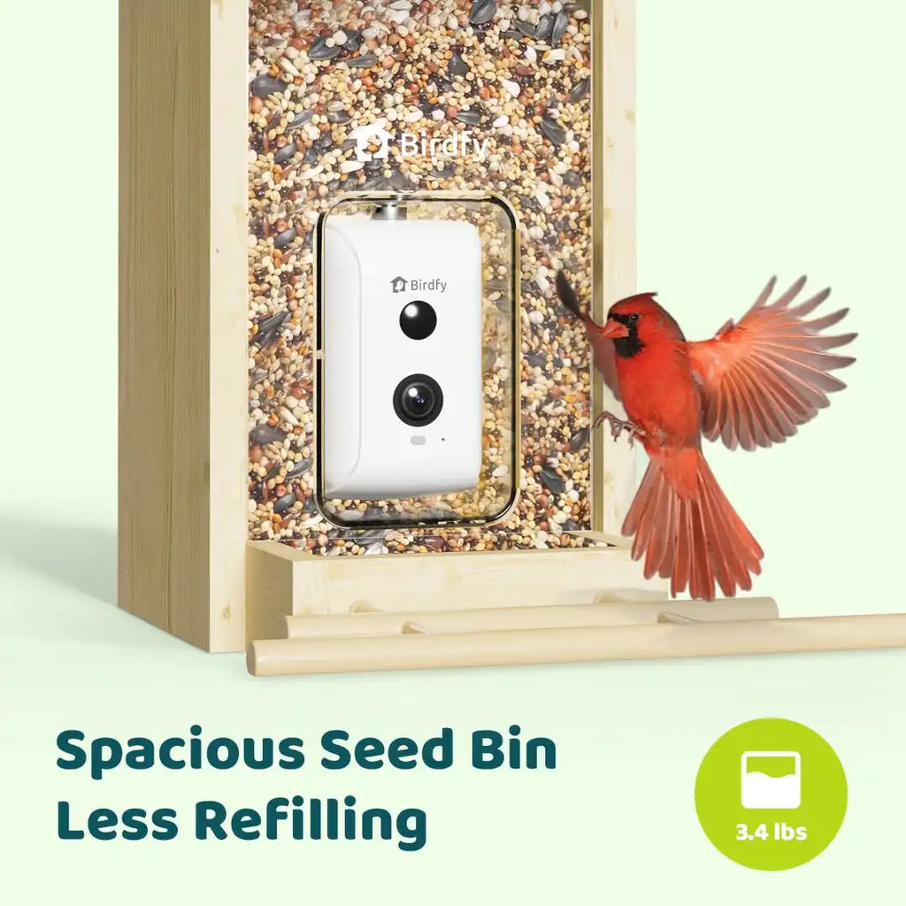 Birdfy Feeder Ebony + 1 Year Plus Membership