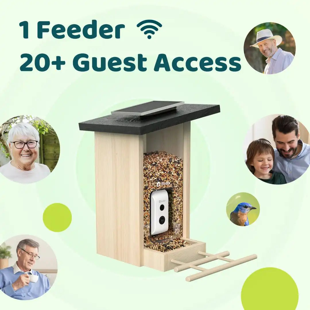 Birdfy Feeder Ebony + 1 Year Plus Membership