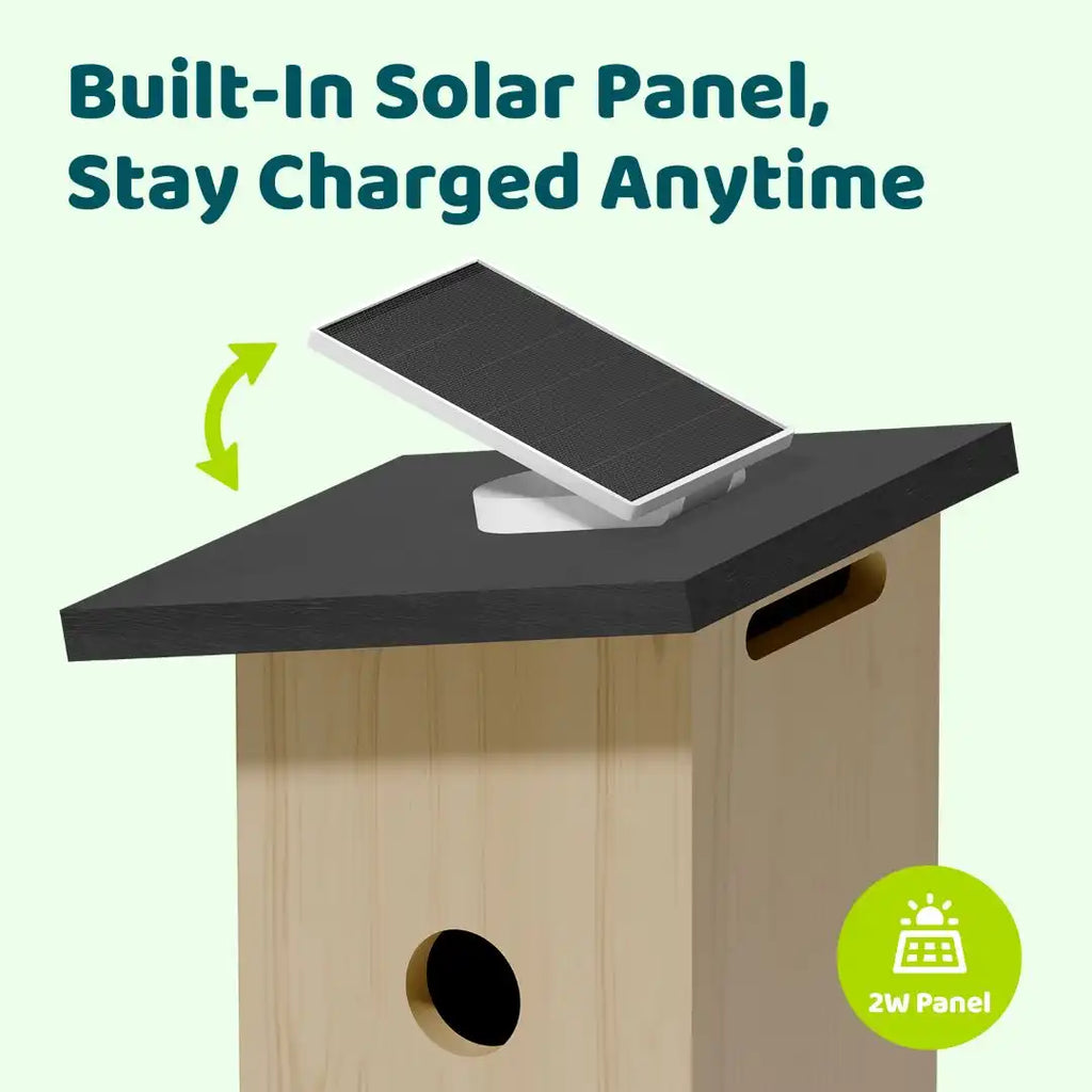 Birdfy Nest Ebony - Wooden Smart Birdhouse