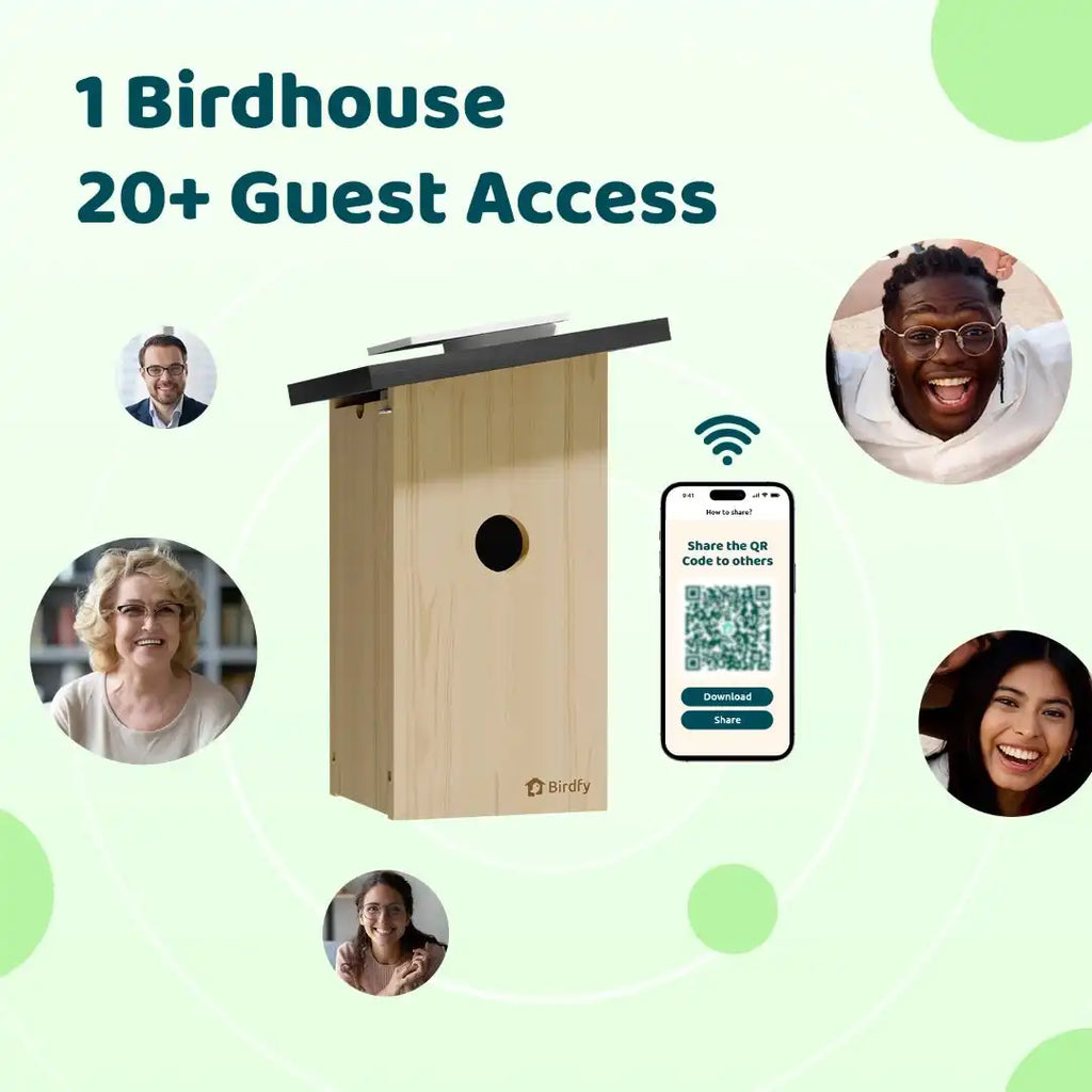 Birdfy Nest Ebony - Wooden Smart Birdhouse