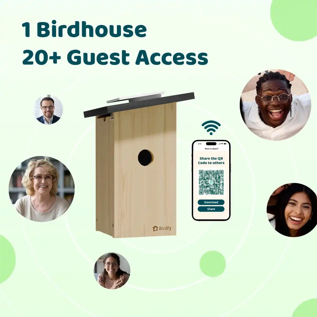 Birdfy Nest Ebony - Wooden Smart Birdhouse