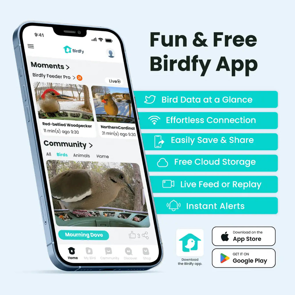 Birdfy Feeder 2 Pro - Dual-Lens Smart Bird Feeder with Camera