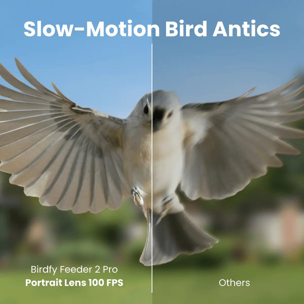 Birdfy Feeder 2 Pro - Dual-Lens Smart Bird Feeder with Camera