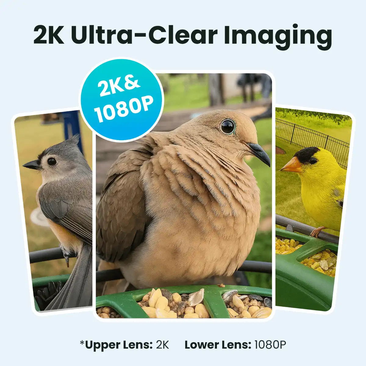 Birdfy Feeder 2 Pro - Dual-Lens Smart Bird Feeder with Camera