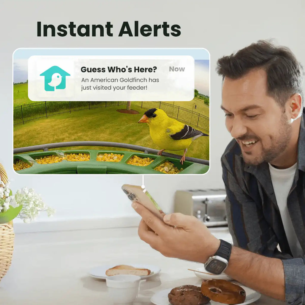 Birdfy Feeder 2 Pro - Dual-Lens Smart Bird Feeder with Camera