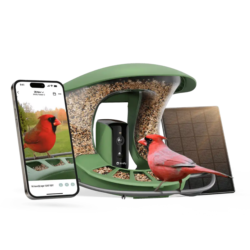 Birdfy Feeder 2 - Smart Bird Feeder