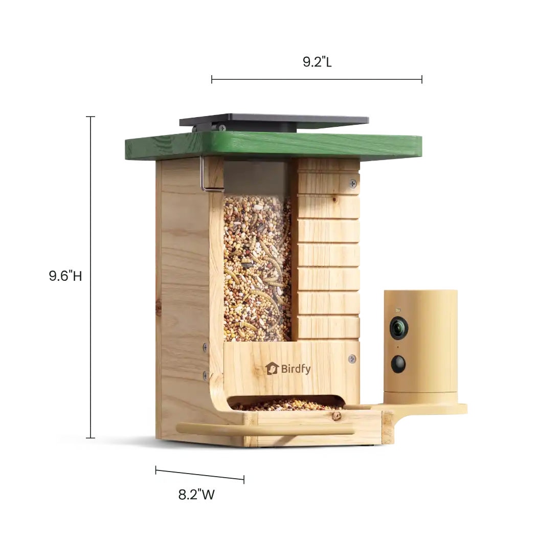 Birdfy Feeder Wood + 1 Year Plus Membership