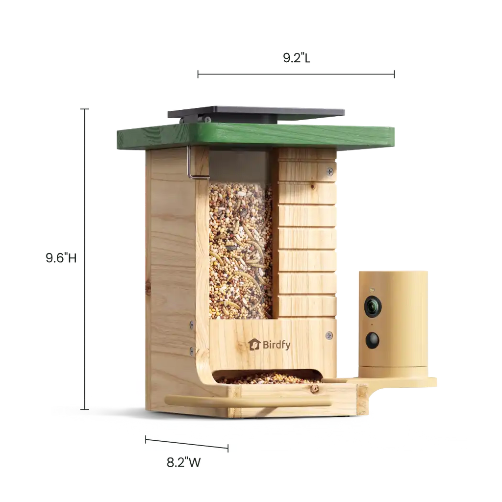 Birdfy Feeder Wood - Limited Gift Set | Smart Bird Feeder with Camera