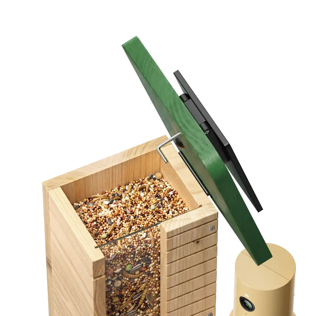 Birdfy Feeder Wood - Limited Gift Set | Smart Bird Feeder with Camera