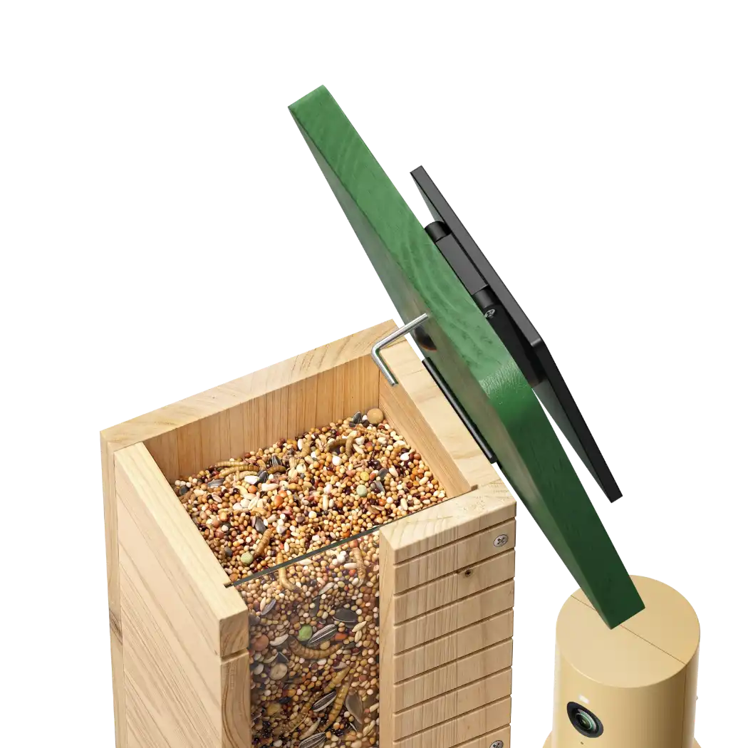 Birdfy Feeder Wood - Limited Gift Set | Smart Bird Feeder with Camera