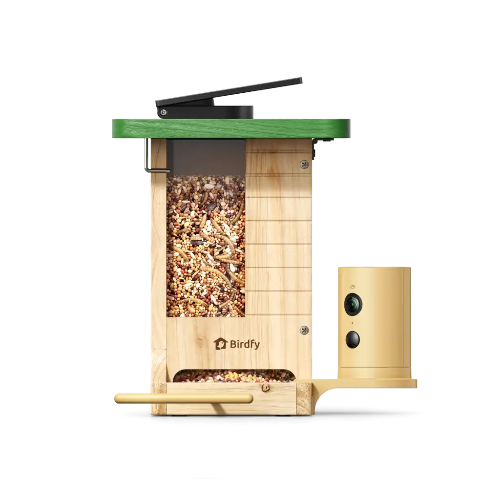 Birdfy Feeder Wood + 1 Year Plus Membership