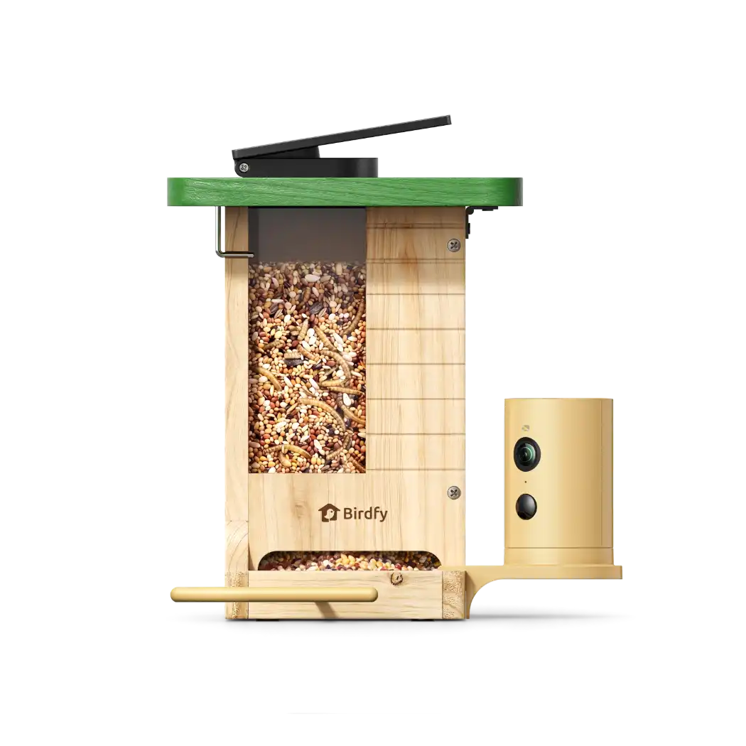 Birdfy Feeder Wood + 1 Year Plus Membership