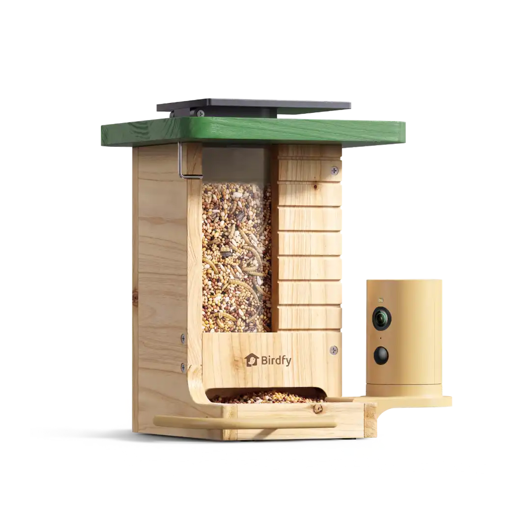 Birdfy Feeder Wood + 1 Year Plus Membership