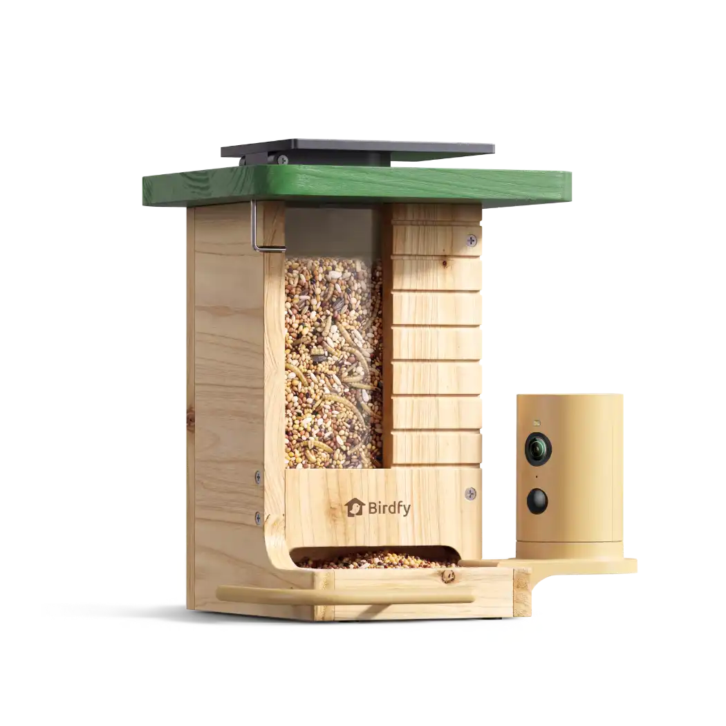 Birdfy Feeder Wood + 1 Year Plus Membership