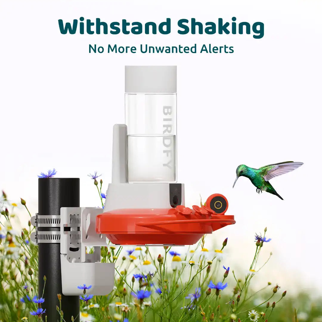 Mounting Kit for Birdfy Hum Feeder Duo