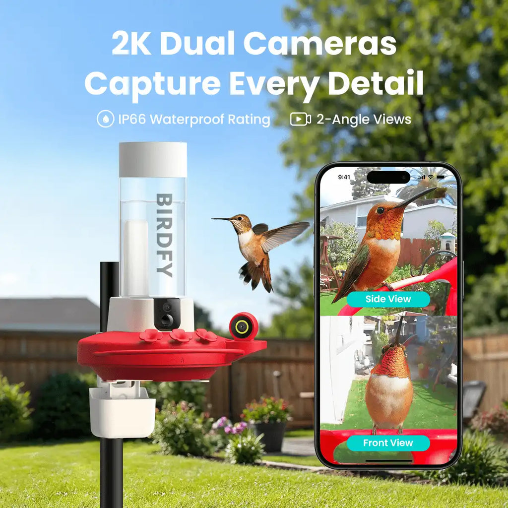 Birdfy Hum Feeder Duo + 1 Year Plus Membership