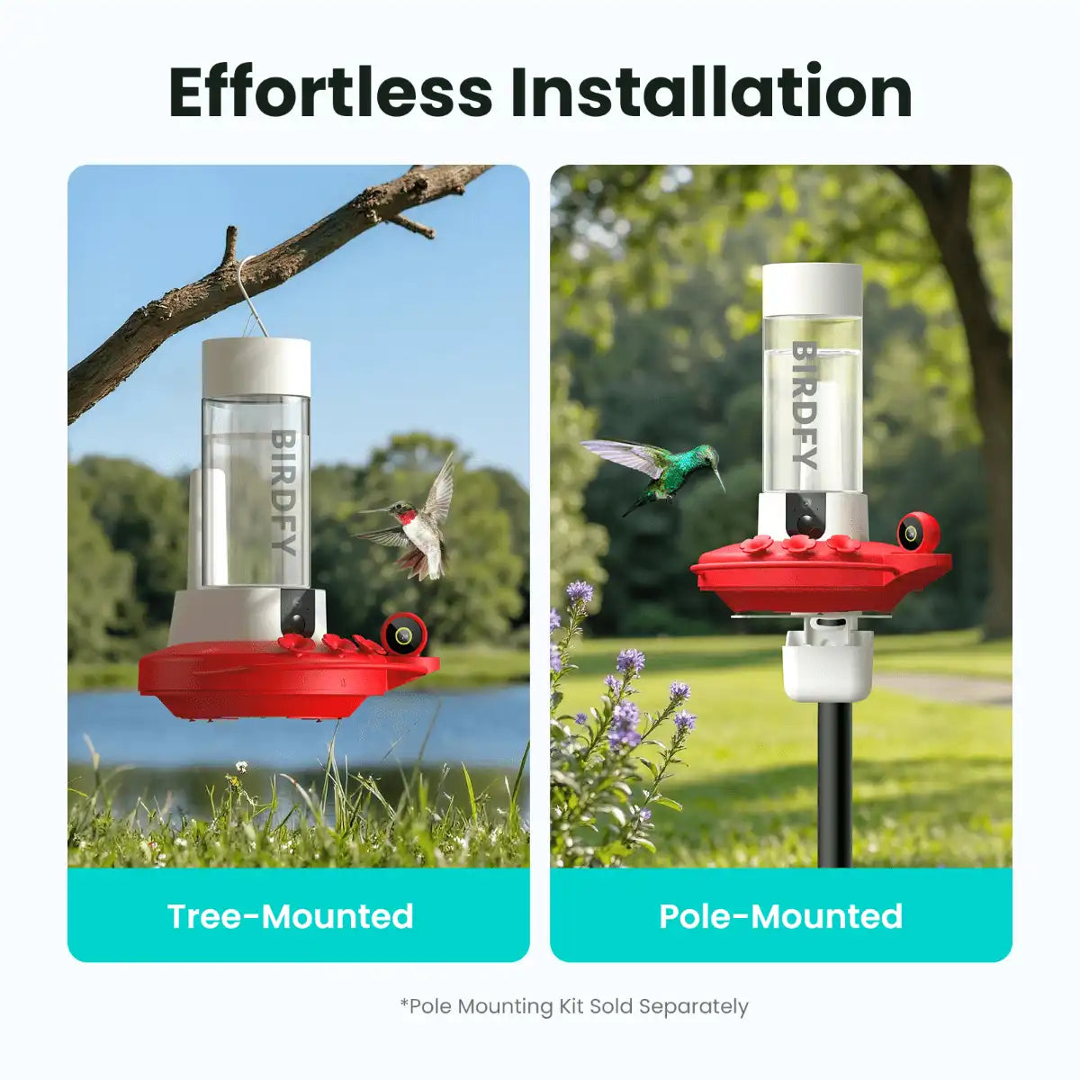 Birdfy Hum Feeder Duo + 1 Year Plus Membership