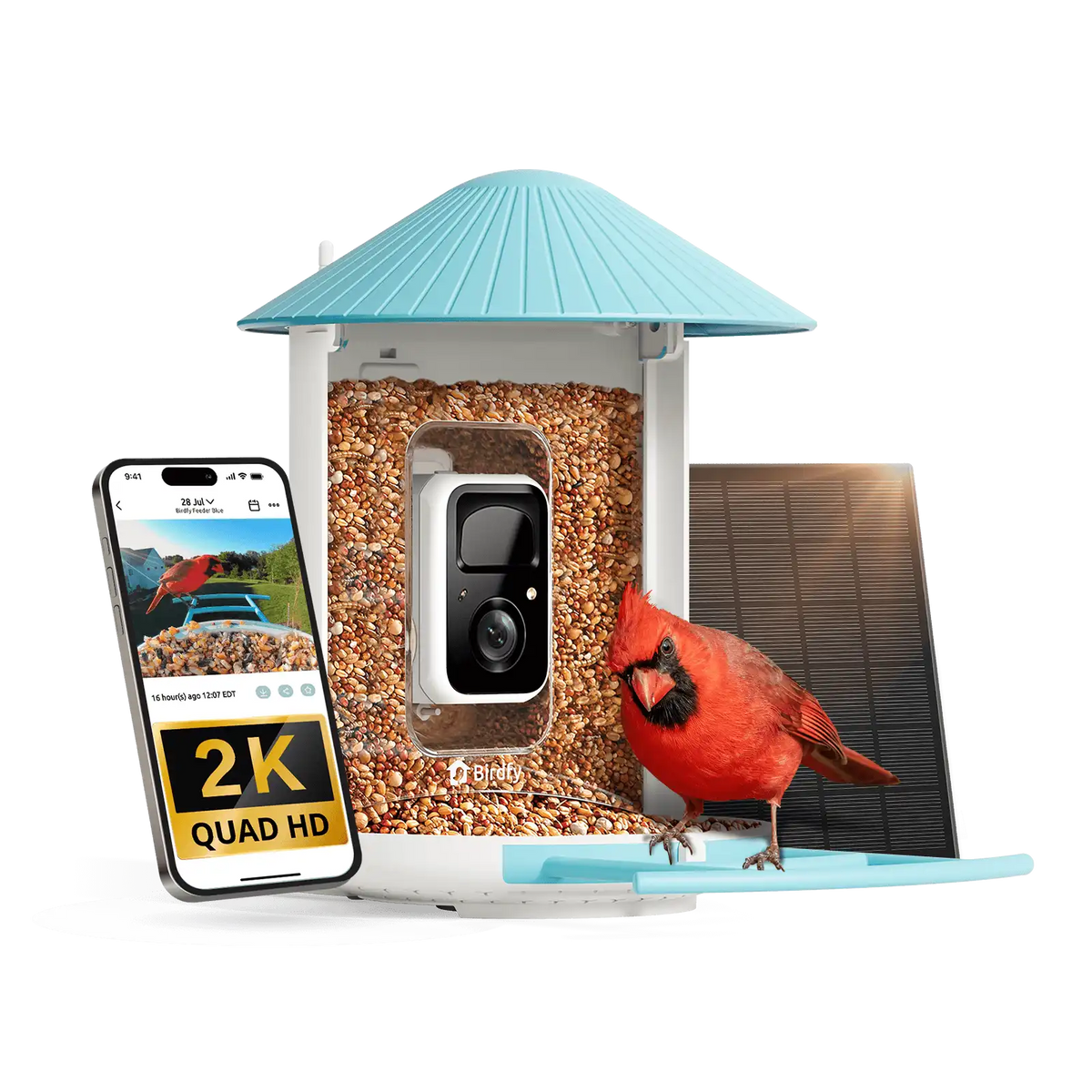 Birdfy Feeder - AI-Powered Smart Bird Feeder with Camera