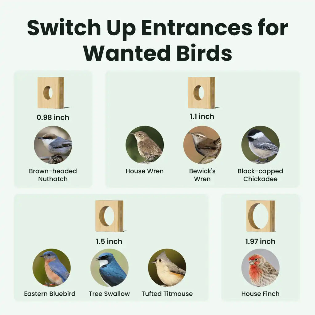 Birdfy Nest Duo - Smart Bird House with Dual Cameras
