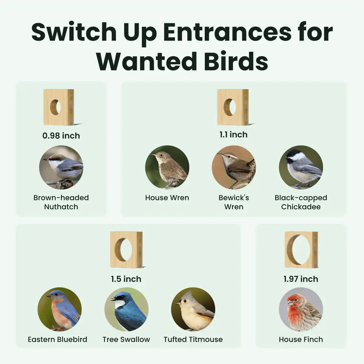 Birdfy Nest Duo - Smart Bird House with Dual Cameras