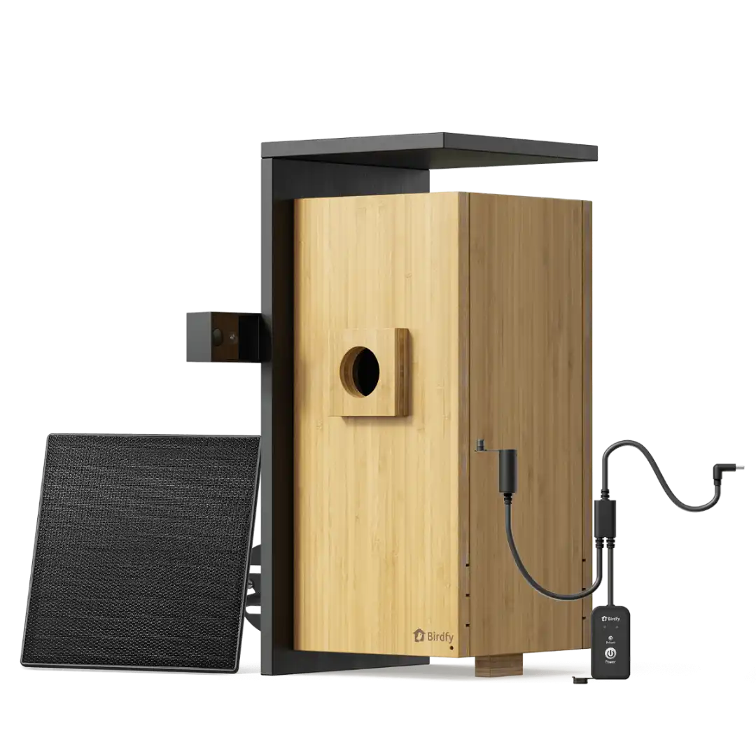 Birdfy Nest Duo - Smart Bird House with Dual Cameras