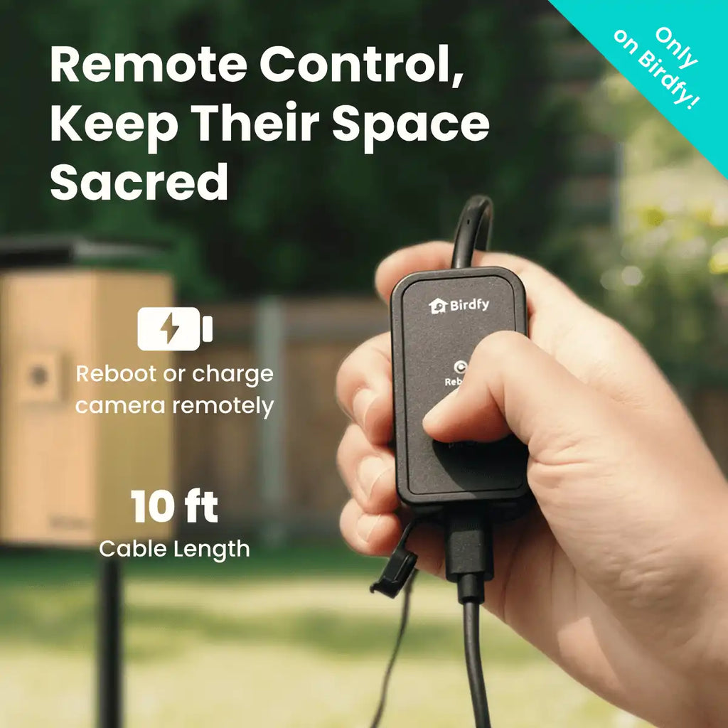 Birdfy Nest Duo - Smart Bird House with Dual Cameras